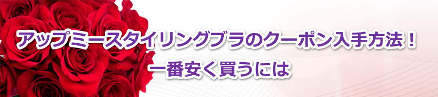 �A�b�v�~�[�X�^�C�����O�u���̃N�[�|��������@�I��Ԉ��������ɂ�